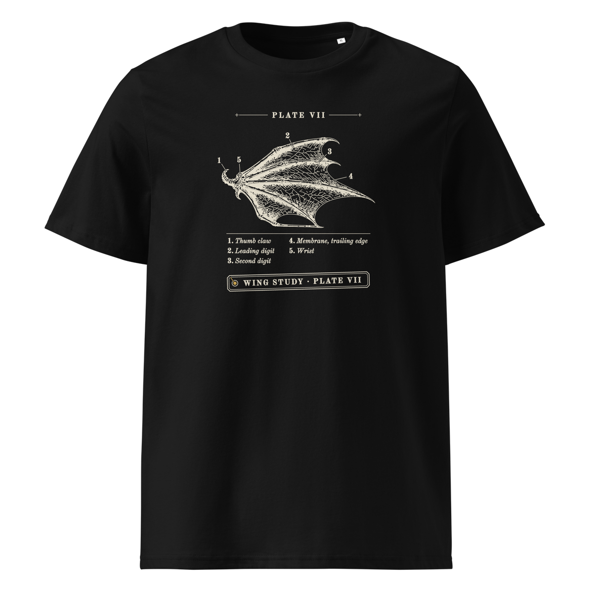 Wing Study, Plate VII tee in Black, front view, engraved dragon wing with five numbered callouts at centre chest