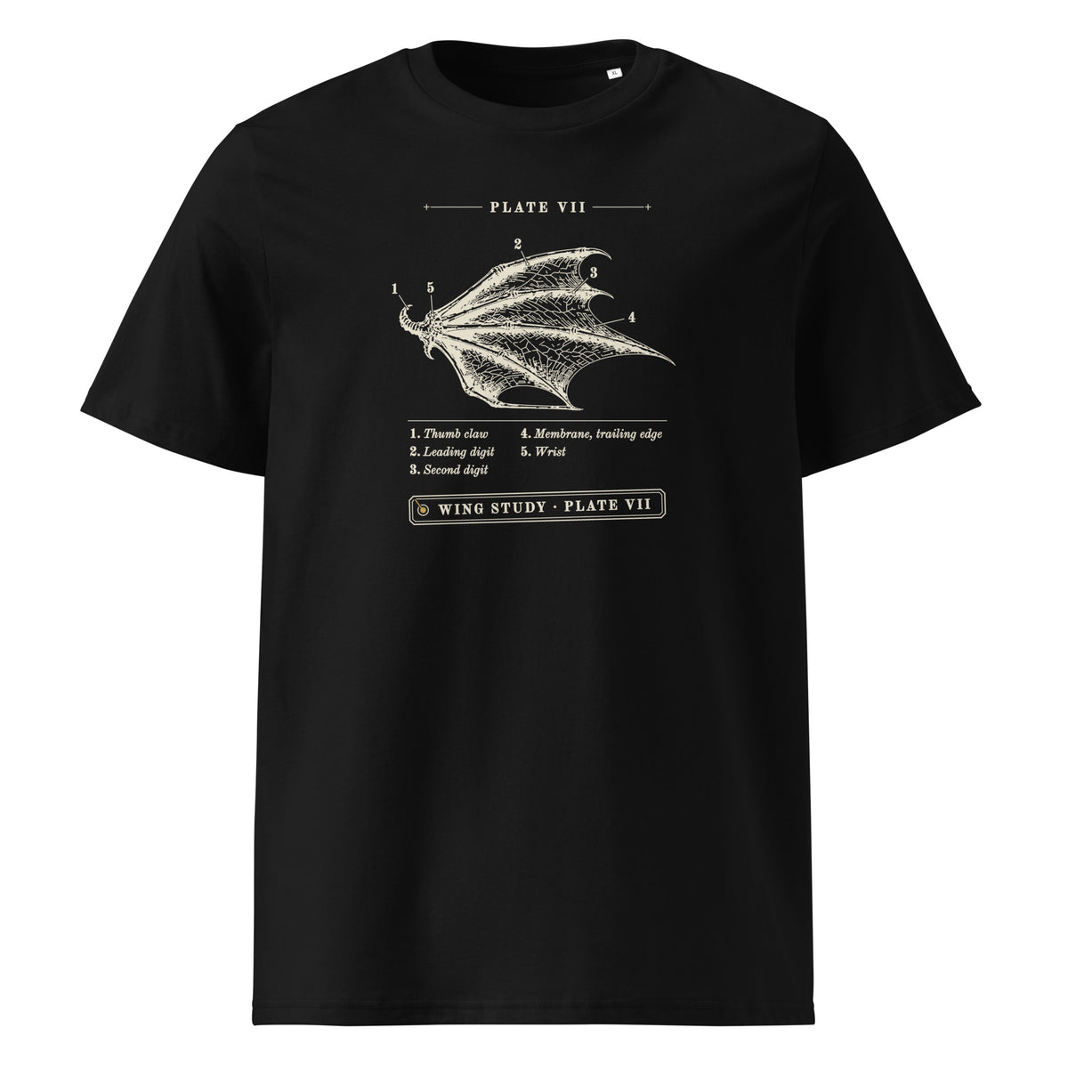 Wing Study, Plate VII t-shirt in Black: engraved dragon wing with five numbered callouts, a key and a pinned tag